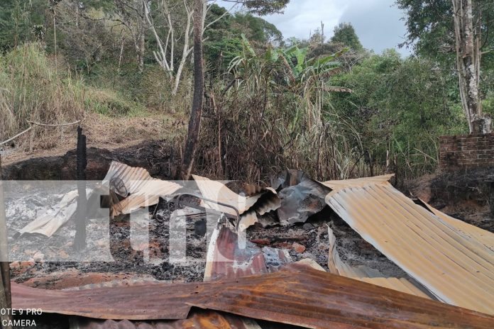 Foto: Incendio arrasa con vivienda y herramientas en finca de café en Jalapa/TN8