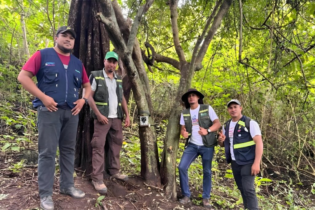 Foto: Zorrillo espalda blanca en al Reserva Volcán Cosigüina, Chinandega 