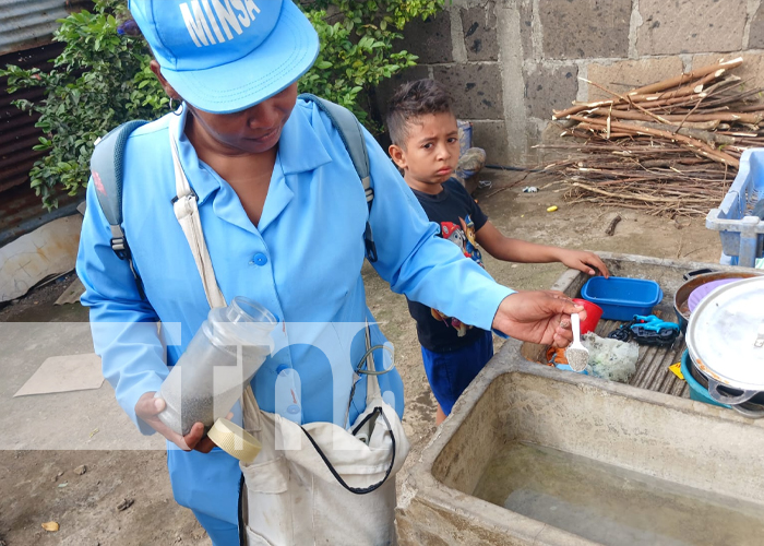 Foto: Fumigación en Managua /cortesía