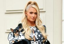 Foto: Paris Hilton colabora con refugios para rescatar y proteger animales