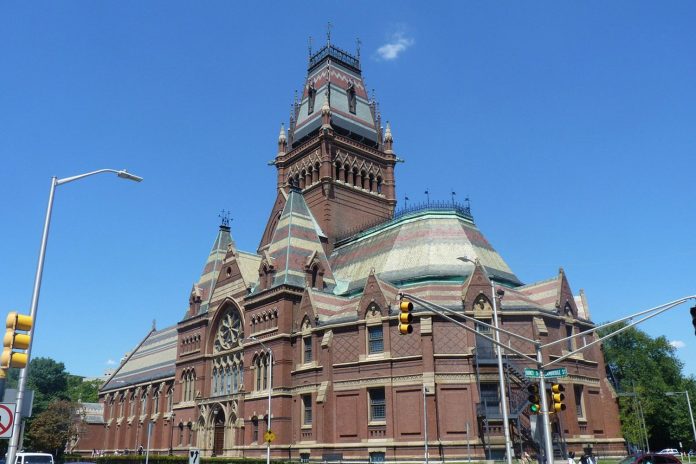 Foto: Harvard ya no es garantía de empleo /Cortesía