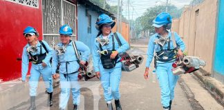 Foto: Jornadas de fumigación y limpieza en El Recreo dan excelentes resultados/TN8