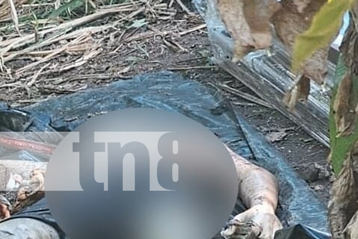 Foto: ¡Escalofriante! Madre planea y ejecuta el asesinato de su exesposo y su hijo en Paiwas/TN8