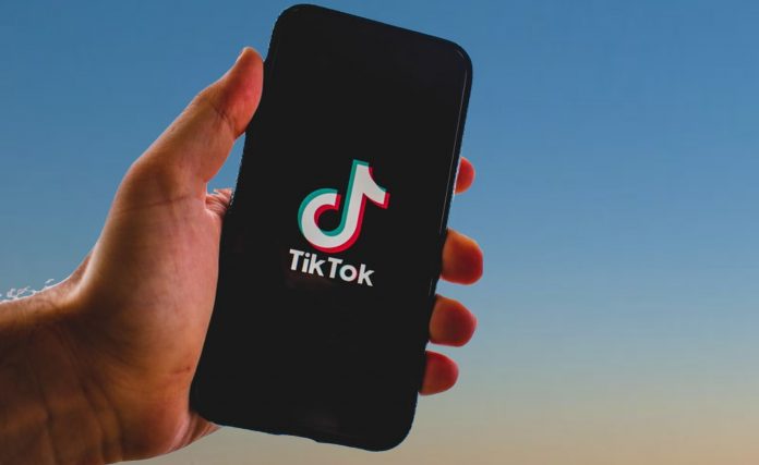 Foto: Larry Ellison y Musk: posibles compradores de TikTok