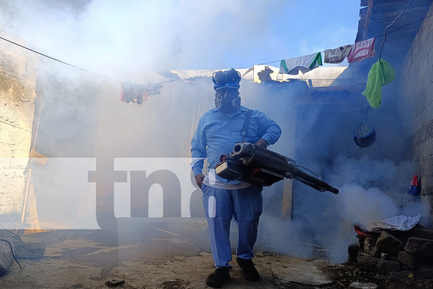 Foto: Intensifican lucha contra el mosquito trasmisor del Dengue /TN8