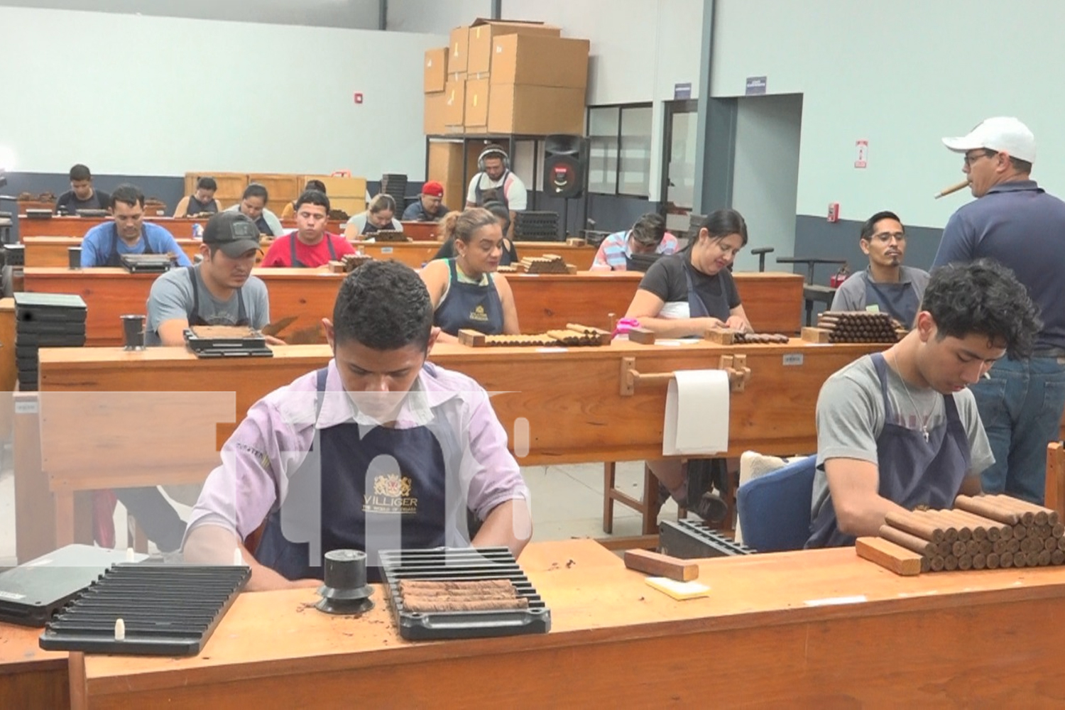 Foto: Extranjeros exploran el proceso de cultivo del tabaco en Estelí / TN8