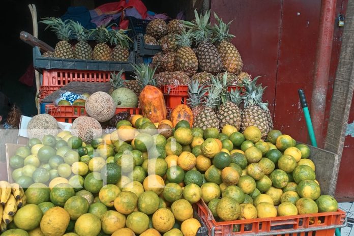 Foto: Mercados de Managua se convierten en un espectáculo aromas/TN8