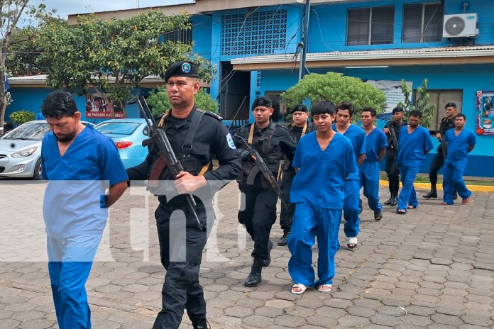 Foto: Mano dura contra el crimen | La Policía Nacional captura a 3 homicidas en Jalapa y a varios delincuentes en Masaya por robo y violencia. /TN8