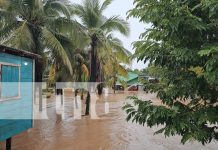 Foto: Lluvias persistentes en Bilwi afectan viviendas en barrios vulnerables/TN8