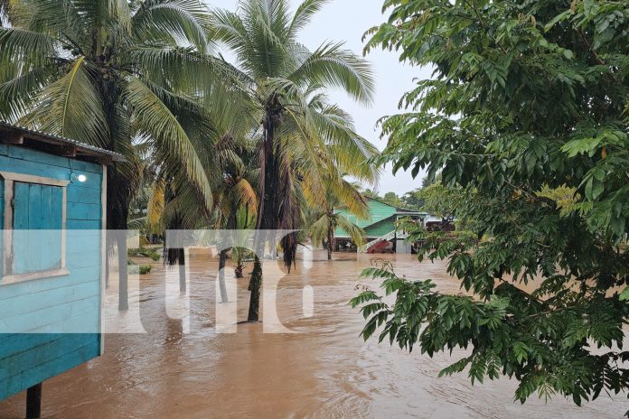 Foto: Lluvias persistentes en Bilwi afectan viviendas en barrios vulnerables/TN8