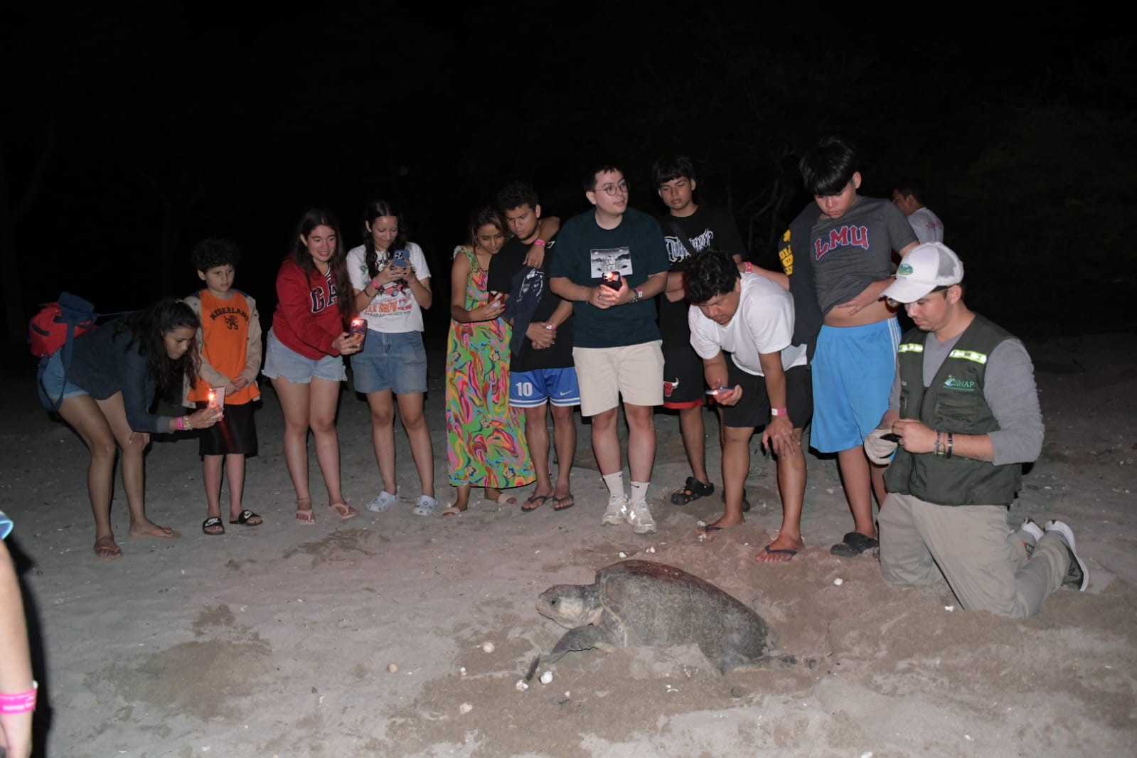 Foto: MARENA reporta más de 3,000 tortugas protegidas en el refugio La Flor