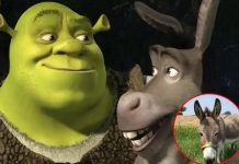 Foto: Muere "Perry", el burro que inspiró a personaje de Shrek /Cortesía