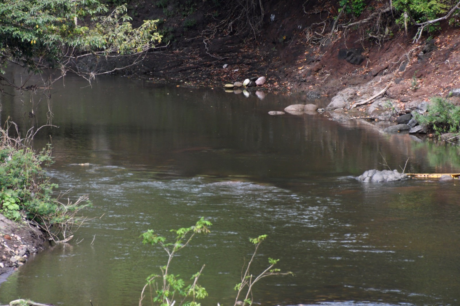 Foto: MARENA promueve conservación en reserva modelo de Chontales