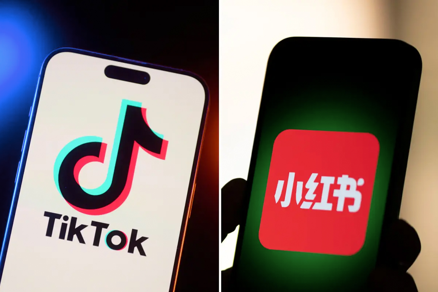 Foto: Trump sopesa una orden ejecutiva para "salvar a TikTok" /Cortesía