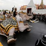 Foto: Elefante pisotea a varias personas en Tailandia /Cortesía