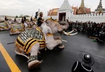 Foto: Elefante pisotea a varias personas en Tailandia /Cortesía