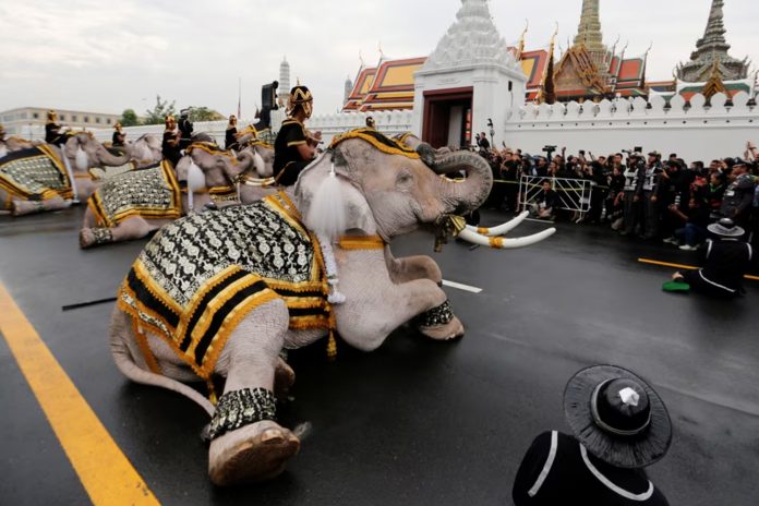 Foto: Elefante pisotea a varias personas en Tailandia /Cortesía