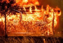 Foto: Incendios fuera de control en Los Ángeles /Cortesía