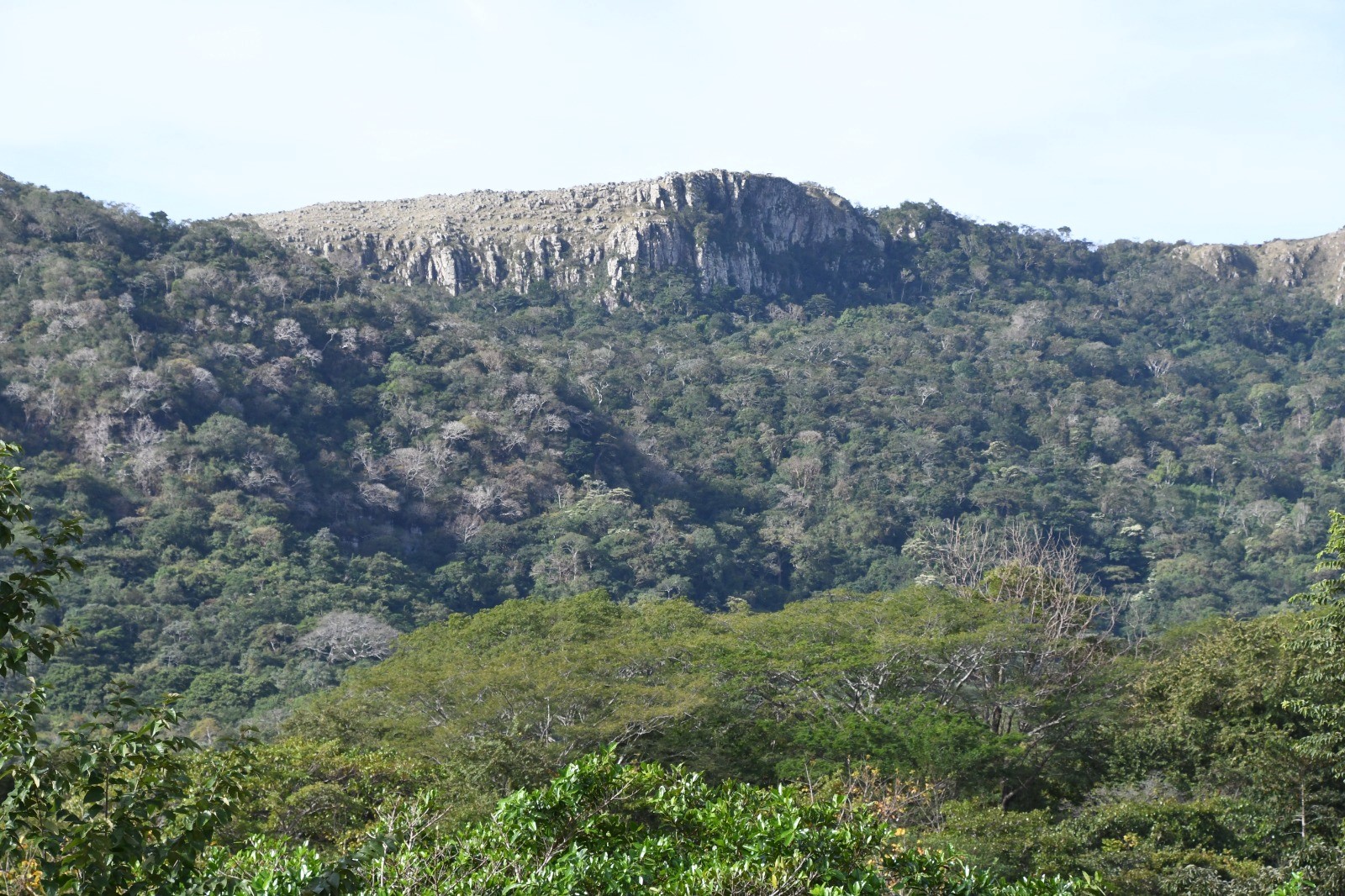 Foto: MARENA promueve conservación en reserva modelo de Chontales