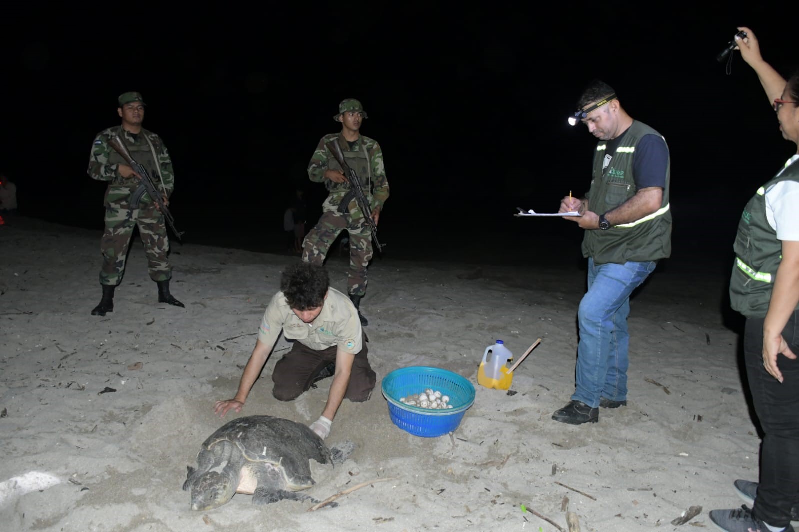 Foto: MARENA reporta más de 3,000 tortugas protegidas en el refugio La Flor