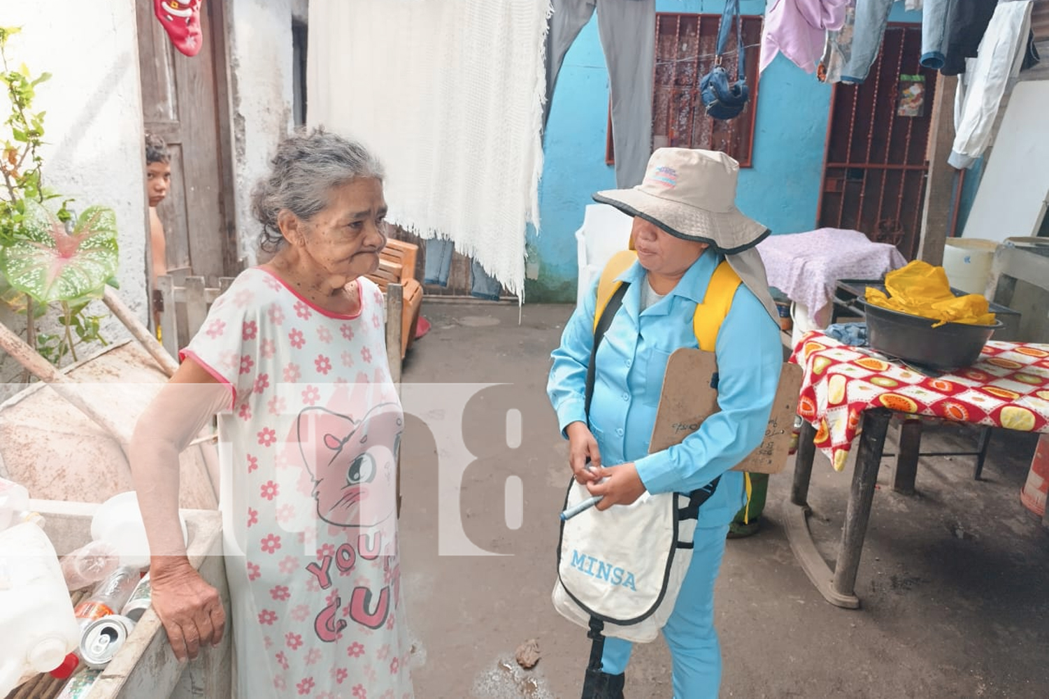 Foto: Operativo Antimosquito: Duro impacto al mosquito del dengue en en Managua / TN8