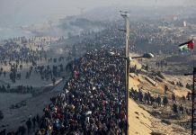 Foto: Palestinos comienzan a regresar al norte de Gaza /Cortesía