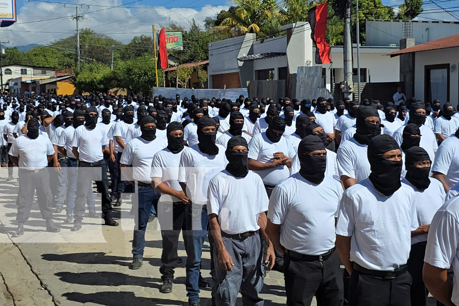 Foto: Policías se comprometen a defender la paz de las familias /TN8