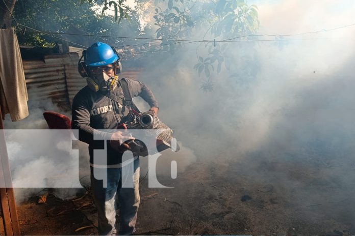 Foto: Operativo Antimosquito: Duro impacto al mosquito del dengue en en Managua / TN8