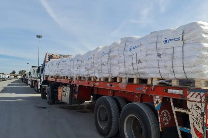 Foto: Más de 600 camiones de ayuda humanitaria entraron a la Franja de Gaza /Cortesía