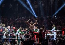 tyson, fury, boxeo, retiro,