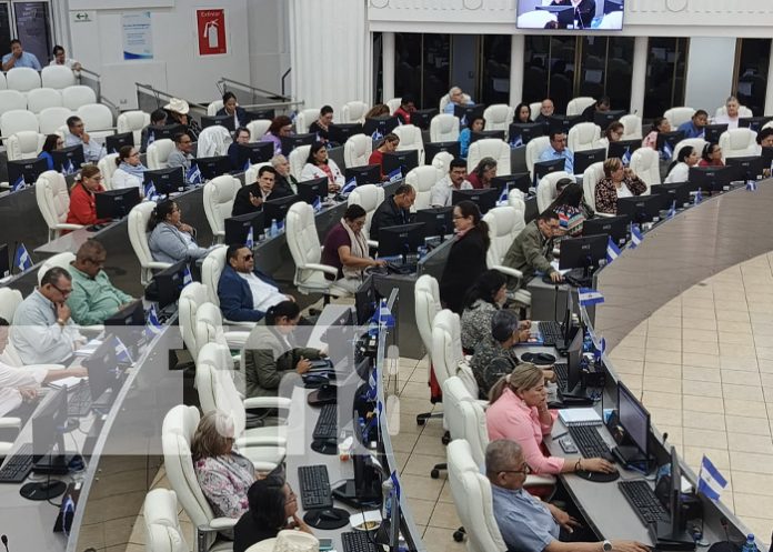 Foto: Sesión parlamentaria en la Asamblea Nacional de Nicaragua / TN8