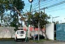 Foto: Potente descarga eléctrica acaba con la vida de un obrero en Villa Fontana, Managua / TN8