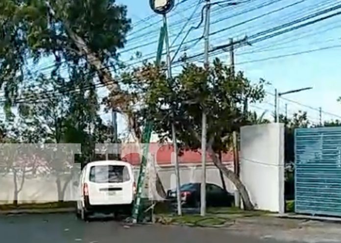 Foto: Potente descarga eléctrica acaba con la vida de un obrero en Villa Fontana, Managua / TN8