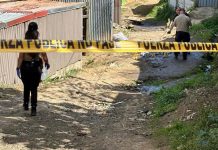 Foto: Cruel asesinato en Costa Rica /Cortesía