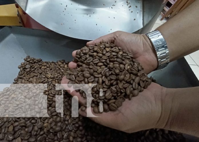 Foto: Reconocen a cafetería de Nicaragua como una de las mejores del mundo / TN8