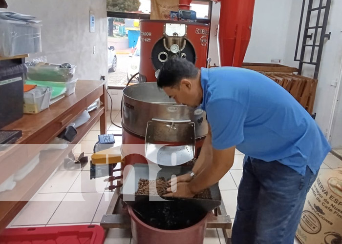 Foto: Reconocen a cafetería de Nicaragua como una de las mejores del mundo / TN8