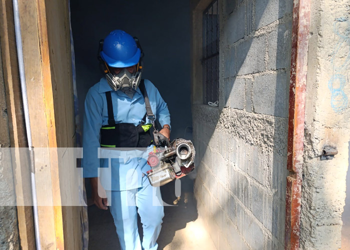 Foto: Fumigación casa a casa en Managua / TN8