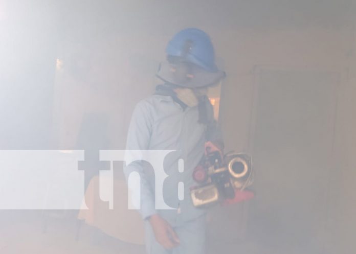 Foto: Fumigación y abatización en Managua / TN8