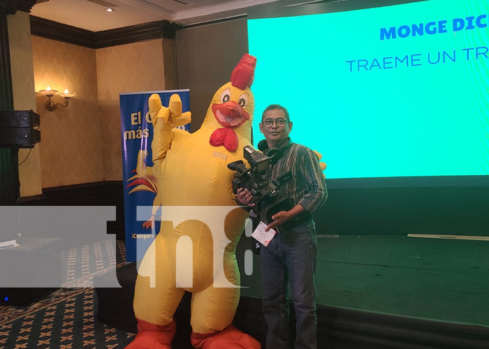 Foto: El Gallo Más Gallo / TN8