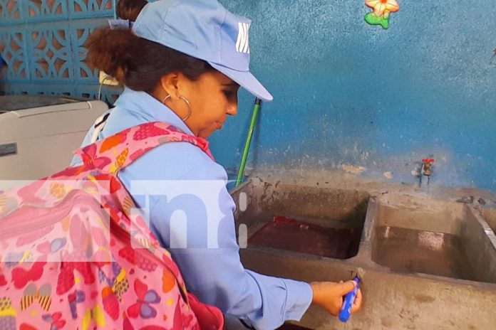 Foto: Casas del barrio Julio Buitrago en Managua ya están a salvo /TN8