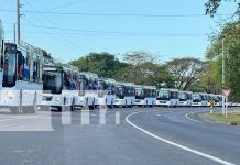 Foto: Nicaragua impulsa la modernización del transporte público /TN8