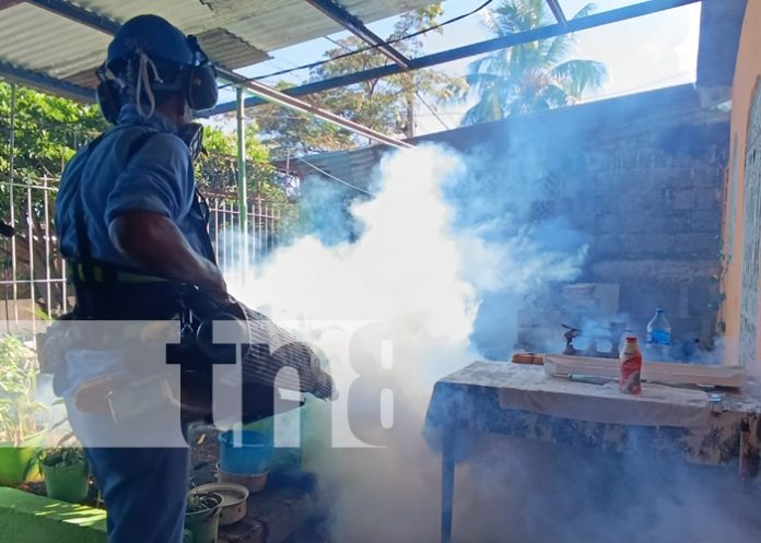 Foto: Fumigación y abatización en Managua / TN8