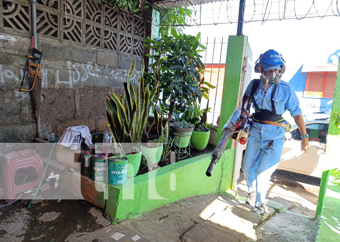 Foto: Fumigación y abatización en Managua / TN8