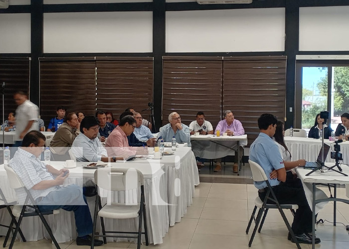 Foto: Encuesta revela alta aprobación a la gestión del Gobierno de Nicaragua / TN8