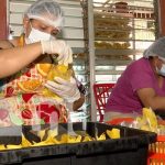 Foto: Nica Chips, negocio ejemplar en Nicaragua / TN8