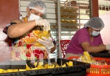 Foto: Nica Chips, negocio ejemplar en Nicaragua / TN8