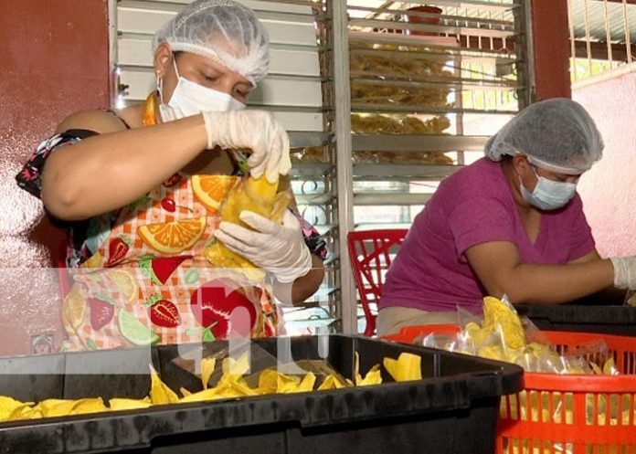 Foto: Nica Chips, negocio ejemplar en Nicaragua / TN8