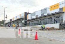 Foto: Ofibodega Guerrero, nueva construcción en la Pista Suburbana / TN8