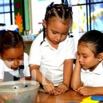 Foto: Claves para que los niños y niñas aprendan mejor en clases / TN8