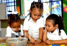 Foto: Claves para que los niños y niñas aprendan mejor en clases / TN8